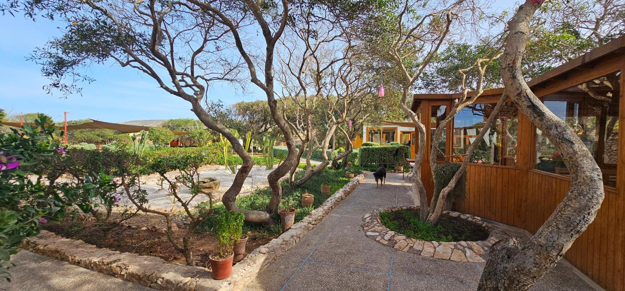 Golden Baibah Hotel Zaouia Akermoud Exterior photo