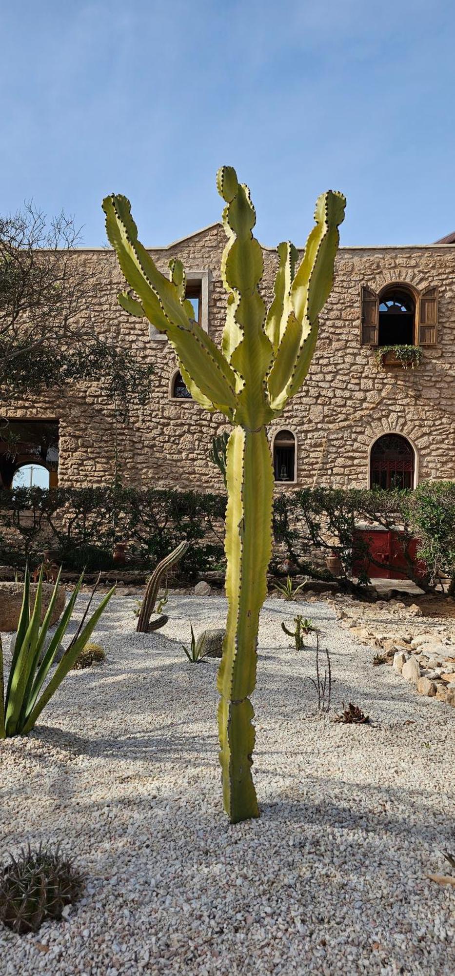 Golden Baibah Hotel Zaouia Akermoud Exterior photo